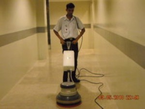 Cleaning Services1
