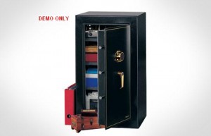 Security Safe-D8881