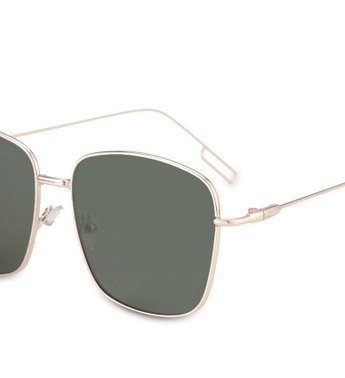 ALDO Noevia Sunglasses4