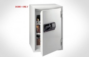 Commercial Electronic FIRE-SAFE1