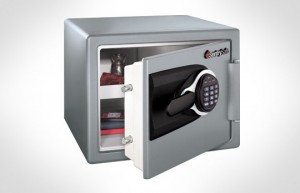 Electronic Safe-MS06071