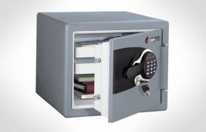 Electronic Safe - MSW08091